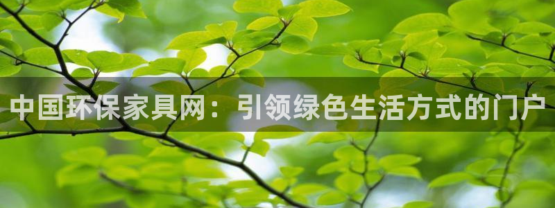 沐鸣平台代理怎么赚钱：中国环保家具网：引领绿色生活方式的门户