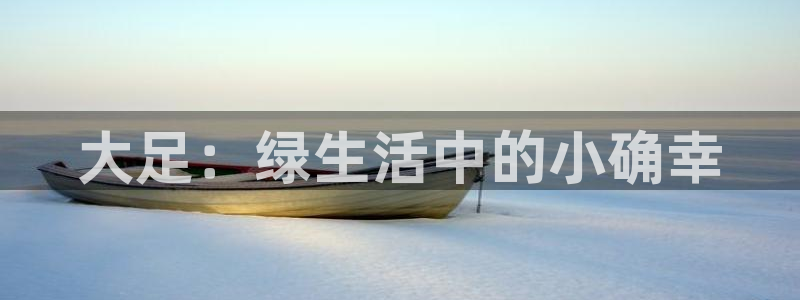 沐鸣平台网站是什么