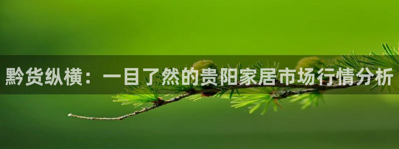 沐鸣平台在线注册：黔货纵横：一目了然的贵阳家居市场行情分析