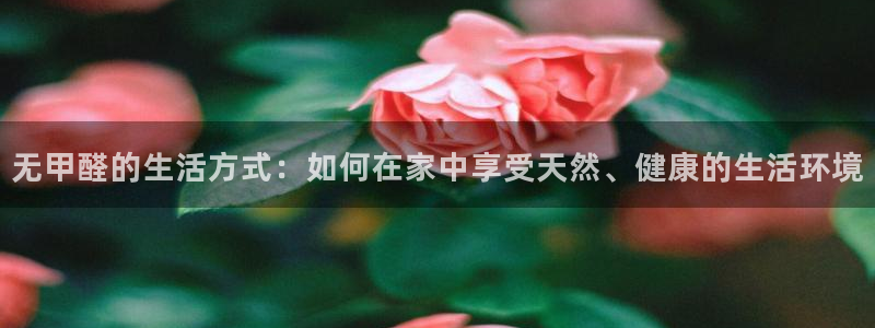 沐鸣平台没有了