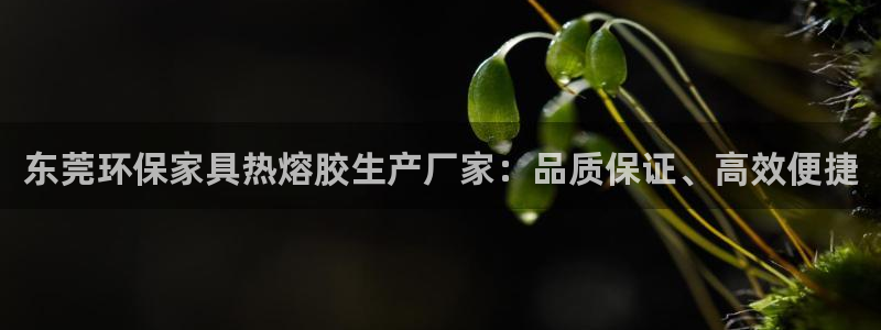 沐鸣代理主管qq：东莞环保家具热熔胶生产厂家：品质保证、高效